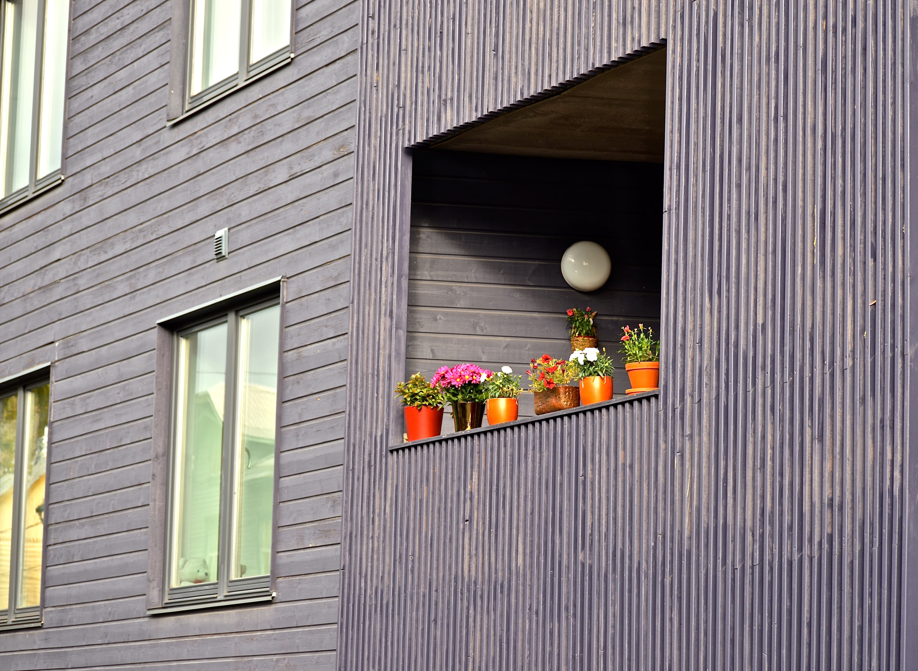 Exterior Shera Board cladding