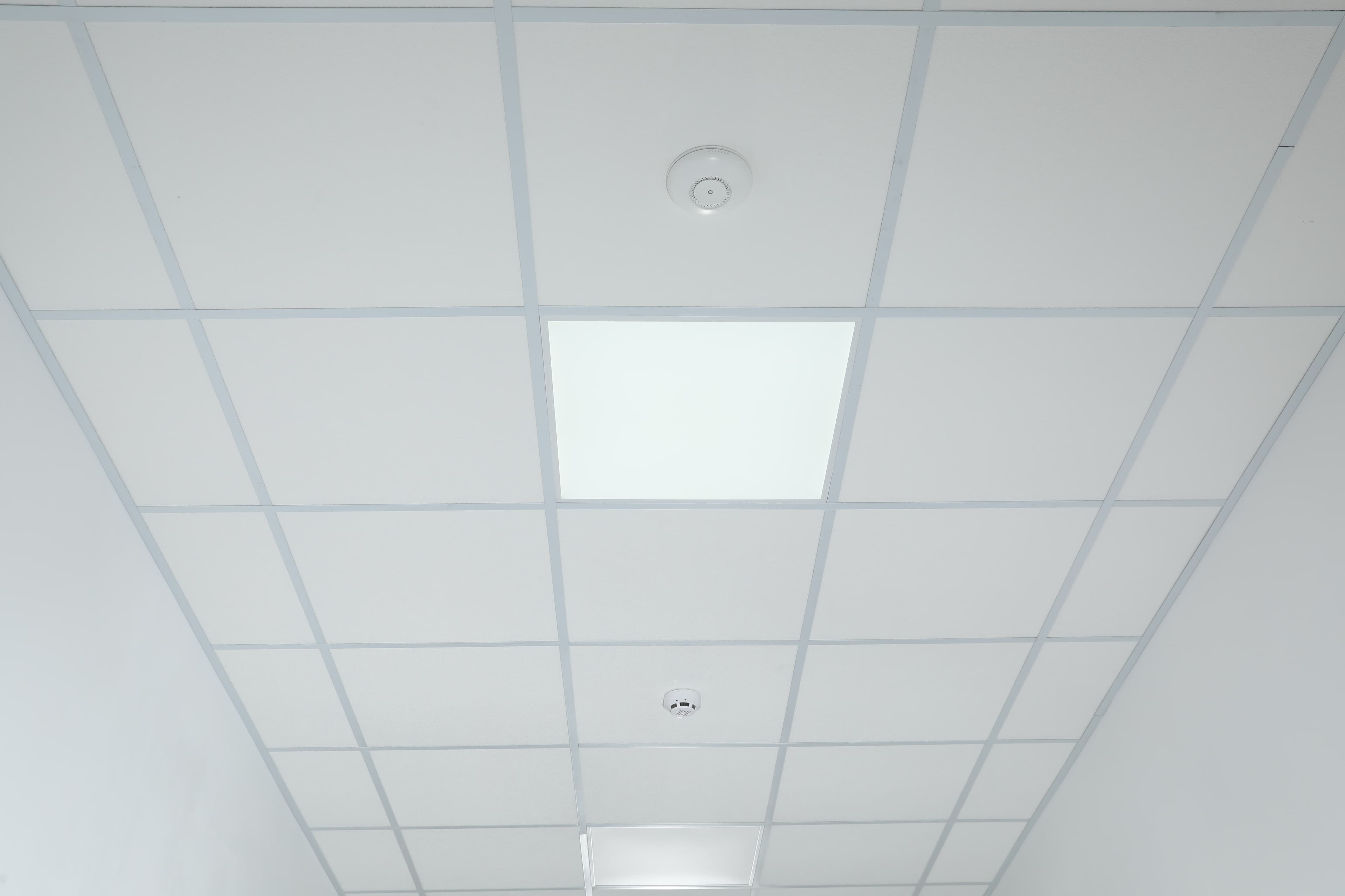 Gypsum 2/2 grid ceiling